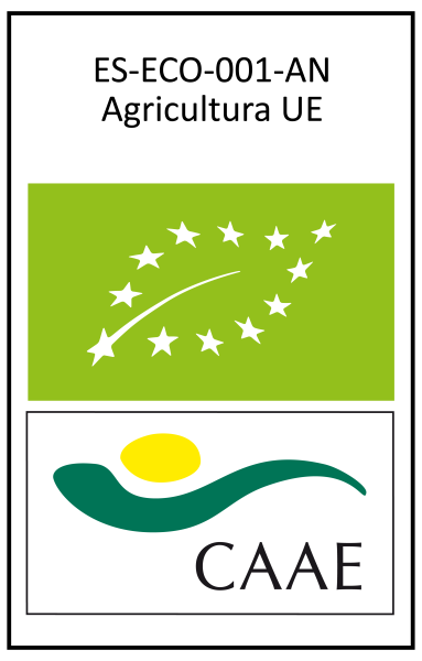 Inicio CAAEUE AN UE VERT